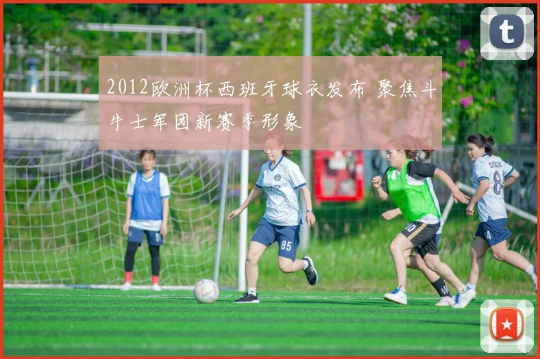 2012欧洲杯西班牙球衣发布 聚焦斗牛士军团新赛季形象