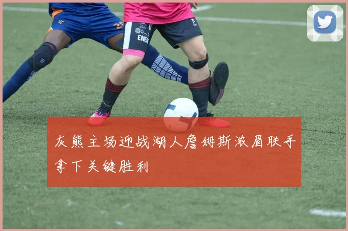 灰熊主场迎战湖人詹姆斯浓眉联手拿下关键胜利